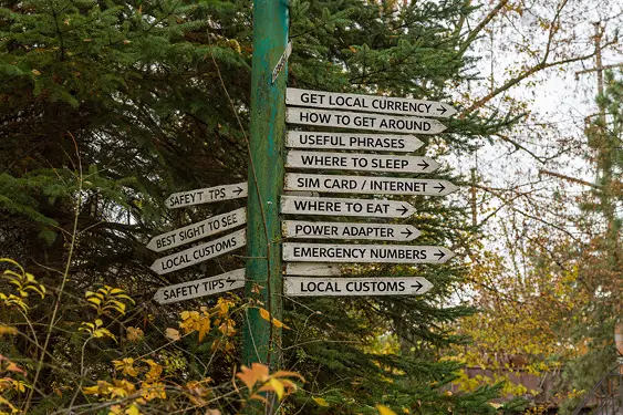 A weathered signpost in a forest pointing to common travel problems like local currency, transport, SIM cards, places to eat, and where to sleep.