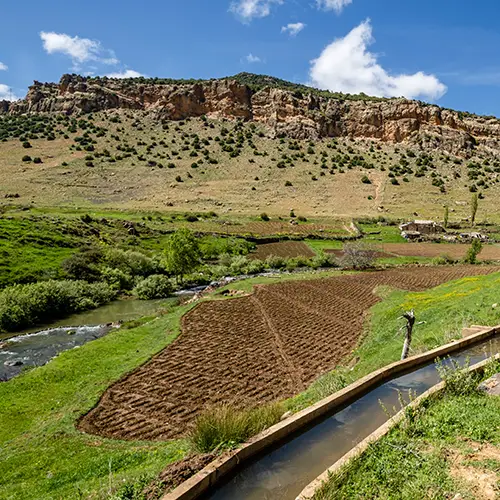 Green valley landscape with terraced fields in Ifrane National Park.
