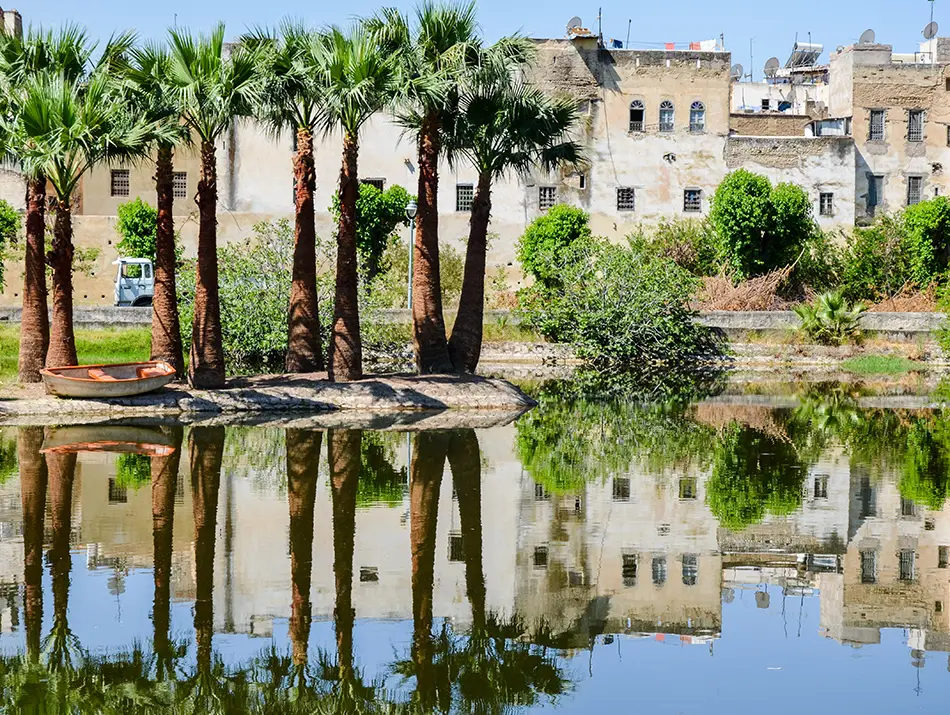 Palm trees reflected in a calm pond at Jnan Sbil Gardens.
