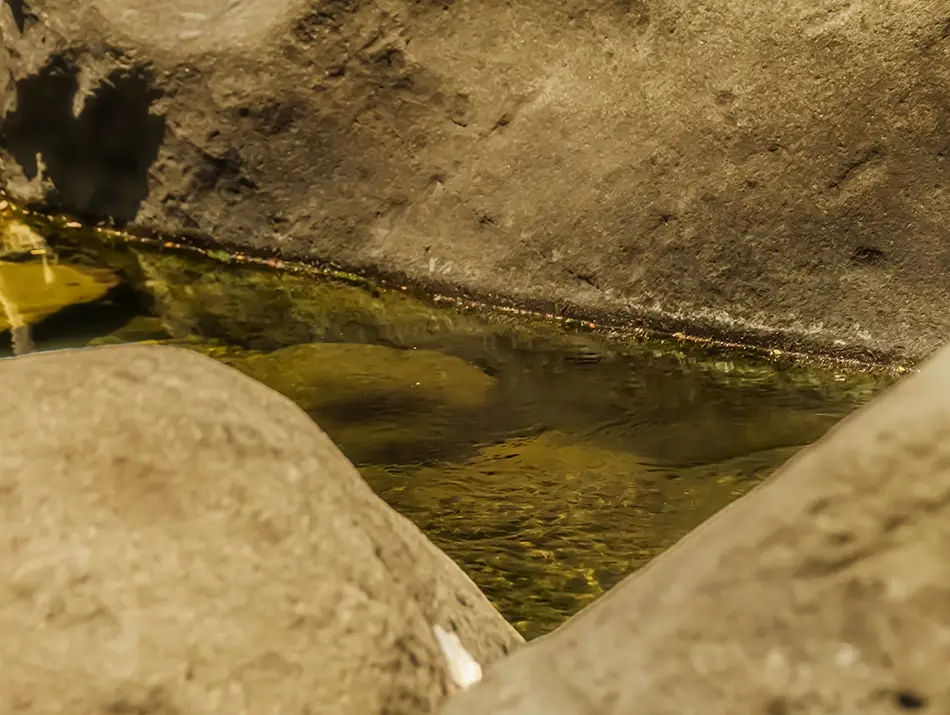 Clear water sits inside a smooth natural rock basin surrounded by large stones.