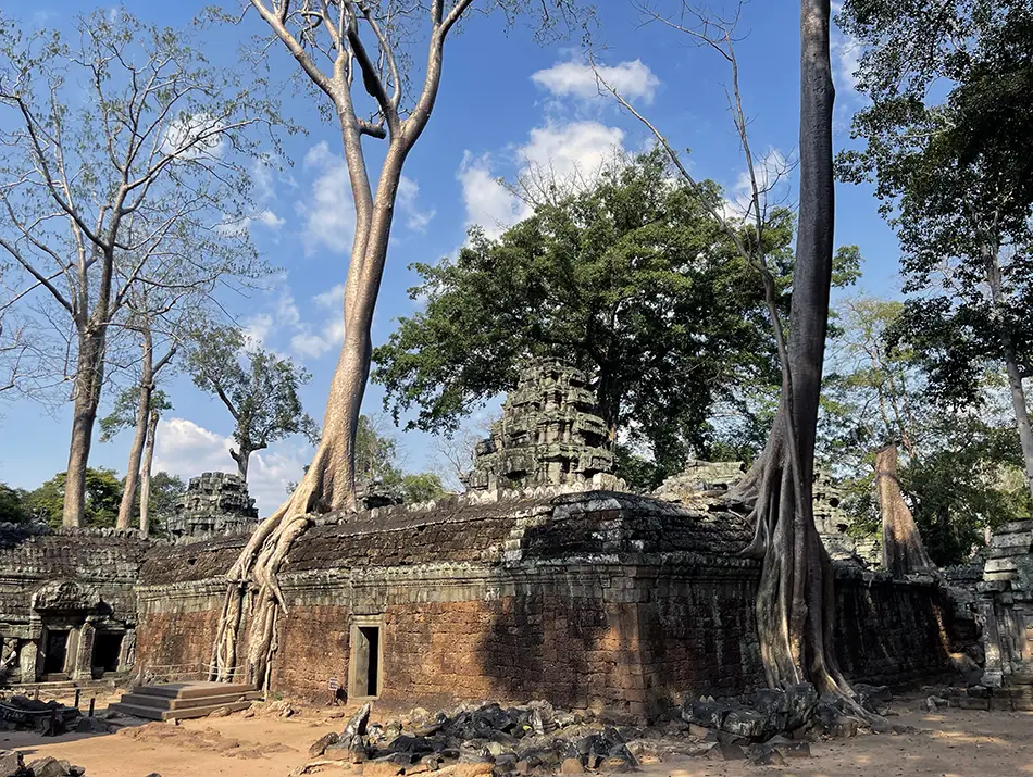 uiet Ta Prohm courtyard with tall trees, a classic movie filming locations to visit.