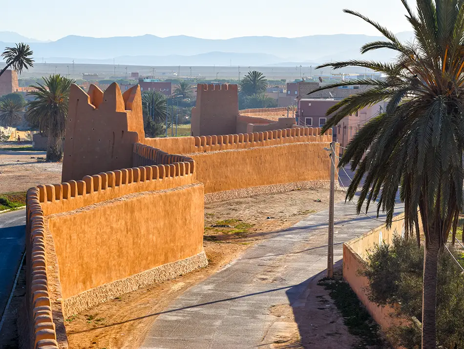 Historic medina walls in Tiznit during a coastal day trip.