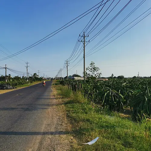 Quiet rural road passing dragon fruit plantations near Ke Ga.