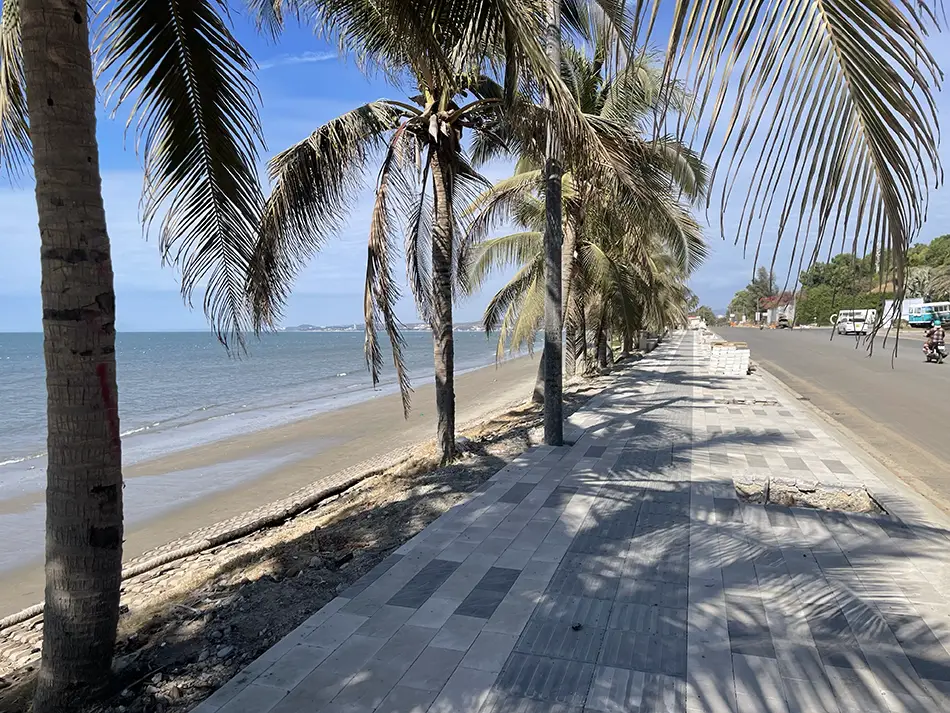 Palm-lined beachfront road near the Sea Links area in Mui Ne.