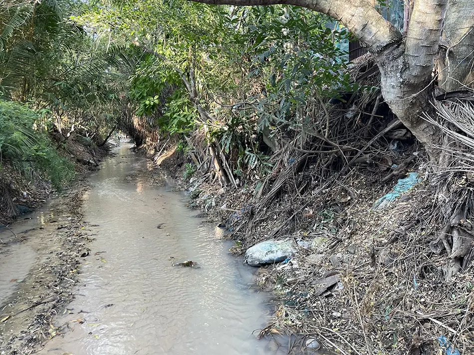 Muddy and littered walking path at Fairy Stream Mui Ne highlighting environmental conditions for travelers