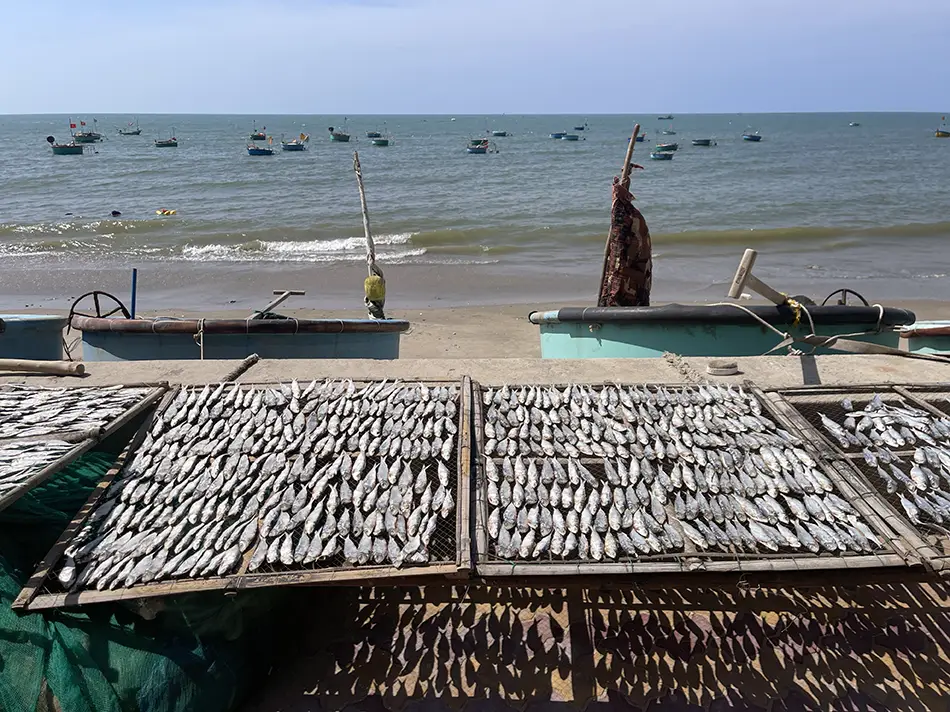 Local fishing scene in with boats and daily life giving insight into authentic coastal culture
