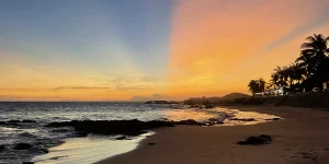 Sunset over a sandy beach with palm trees, waves, and a coastal road in the distance
