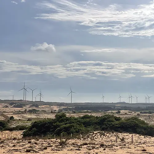 Wind turbines across sandy terrain and low vegetation near Mui Ne White Sand Dunes.