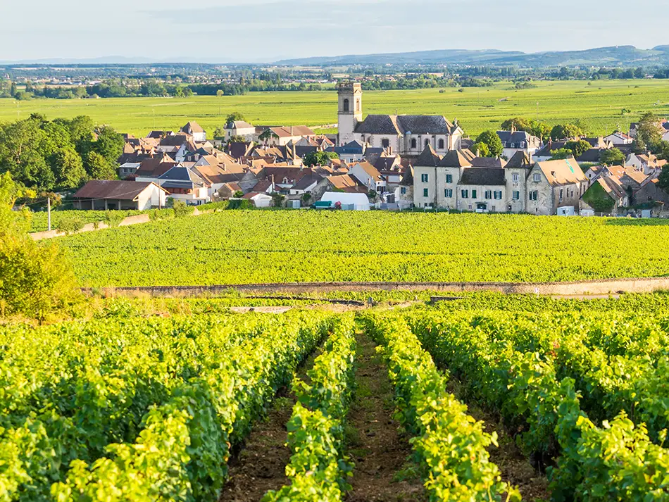 Aerial view of neatly ordered Burgundy vineyard rows in lush green, with a small French village and rolling countryside in the background