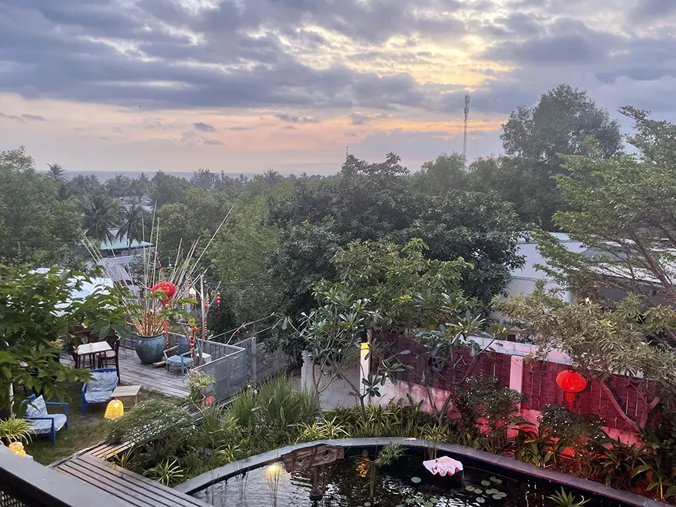 View from Cargo Remote rooftop terrace looking over palm trees toward the coastline at golden hour