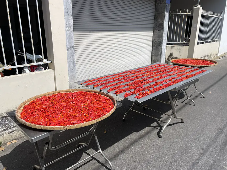 Red chillies laid out to dry on a flat surface on a Vung Tau street, a common sight in the city