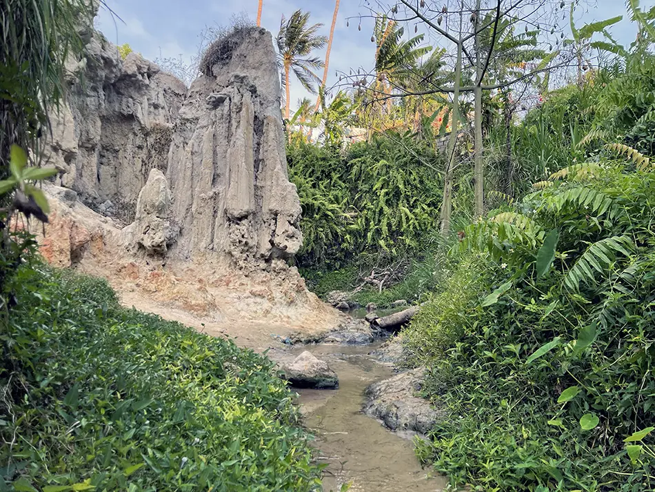 Narrow rocky upper section of Suoi Tien with overgrown vegetation closing in on both sides of the shallow stream