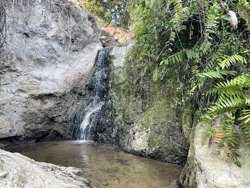 A small cascade approximately 2 meters high at the end of the Fairy Stream walk, with a shallow rocky pool collecting water at its base