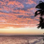 Vivid pink and orange sunset sky over the sea viewed from Ham Tien embankment, with leaning palm silhouettes in the foreground