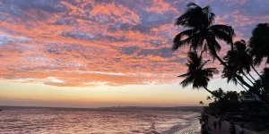 Vivid pink and orange sunset sky over the sea viewed from Ham Tien embankment, with leaning palm silhouettes in the foreground