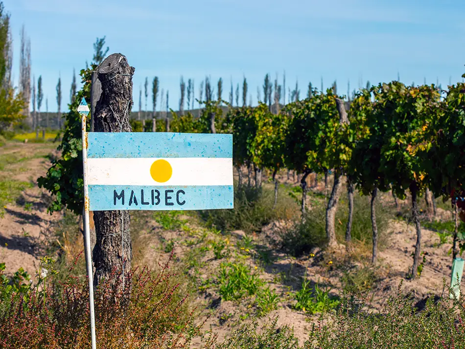 A Malbec vineyard sign stands among grapevines with the Andes mountains in the background, in Mendoza, Argentina's renowned wine travel destination