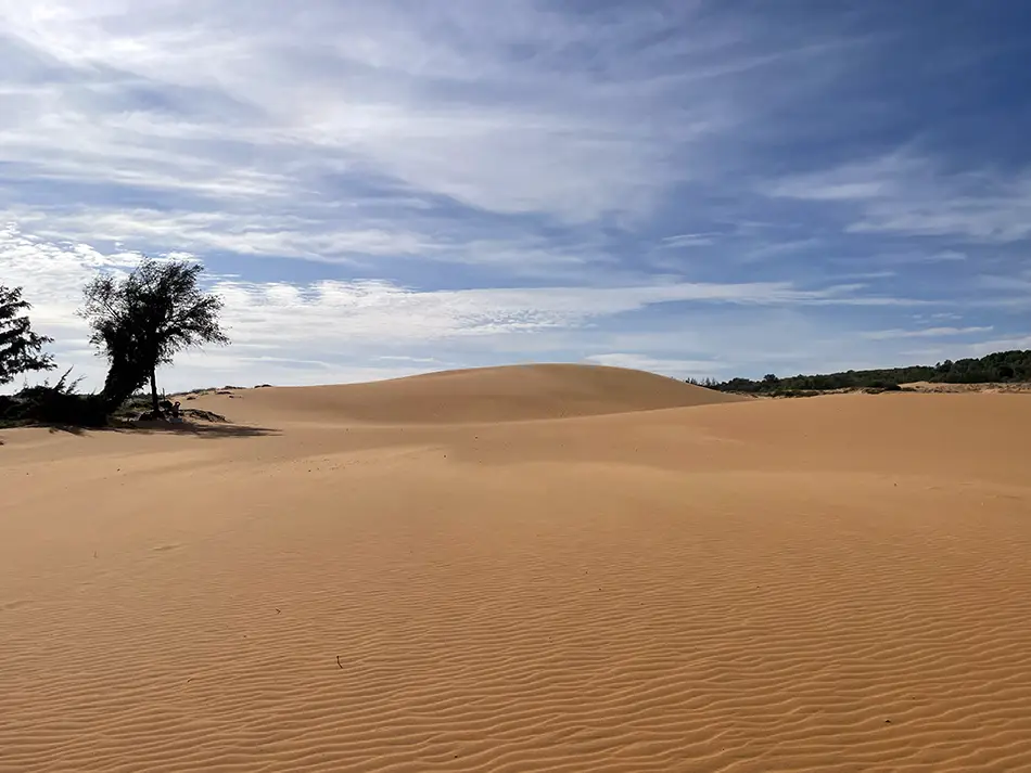 Undulating sand surface under harsh midday sun showing the orange tone of the dunes with no shade visible