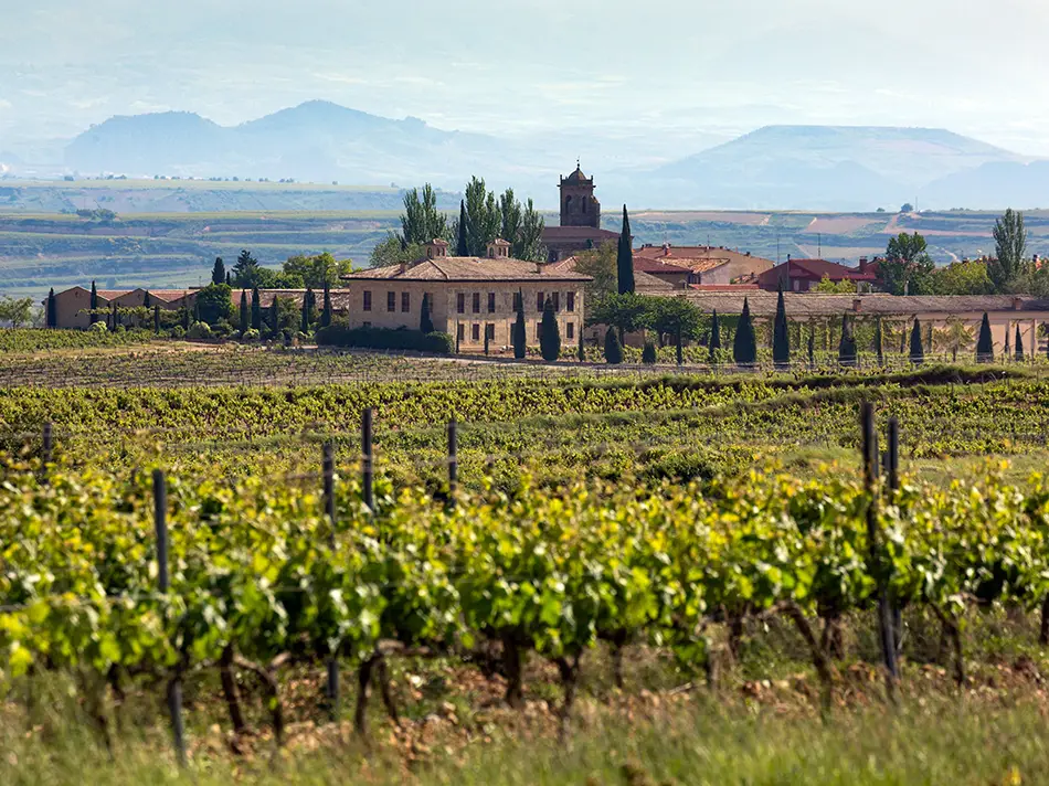 A stone winery estate sits among manicured Rioja vineyard rows in La Rioja, Spain, with snow-capped mountain peaks and a clear blue sky in the distance