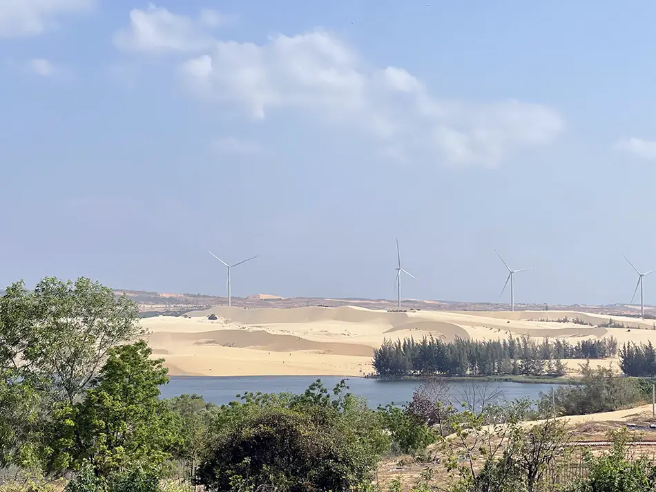 View of pale sand dunes rising behind scrubby trees and dry vegetation, seen from the approach road near Bau Trang