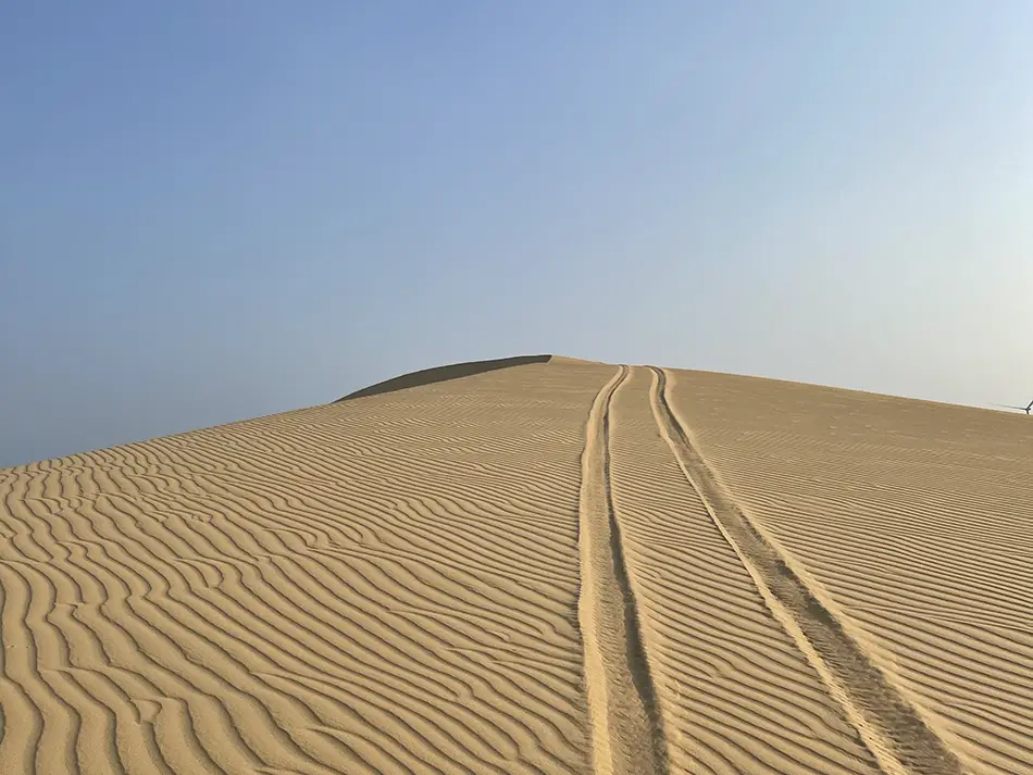 Close-up of smooth white sand with wind-carved ripple patterns stretching toward the horizon at the dunes near Mui Ne