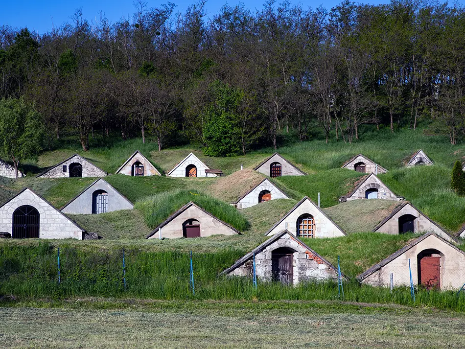 Row of traditional white-painted, dome-shaped underground wine cellars dotting a green hillside in the Tokaj wine region of Hungary, a historic enotourism destination