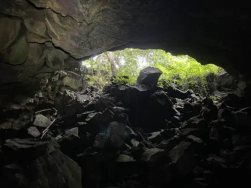 View from inside the dark C8 cave looking out toward its entrance arch and the surrounding greenery outside.