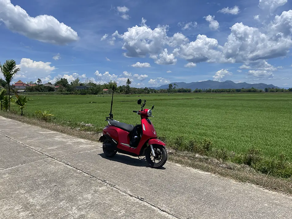 An electric scooter parked on the roadside next to scenic rice fields.