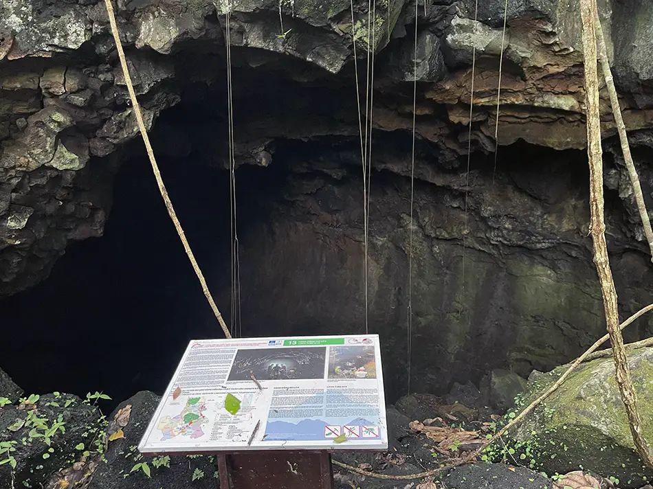 Entrance to the C8 lava tube with lush vegetation surrounding the opening.