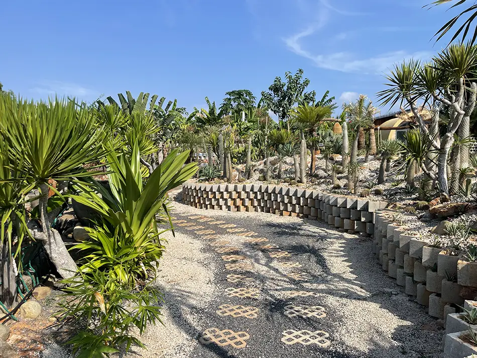 Stone path winding through tall cacti and tropical plants at Gai Garden café