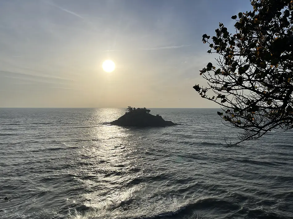 Silhouette of a gnarled coastal tree framing the small rocky Hon Ba islet at golden hour, with the setting sun reflecting across the calm South China Sea — a scenic spot within easy reach on a day trip from Ho Chi Minh City