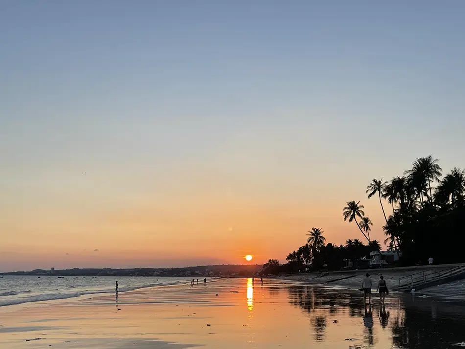 Couple-friendly sunset walk along Mui Ne beach at low tide with palm trees on the horizon