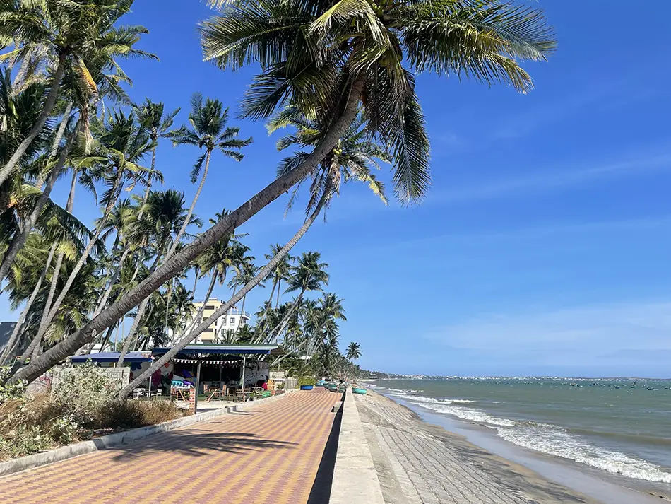 Brick promenade lined with tall palm trees running along the Mui Ne seafront on a clear day