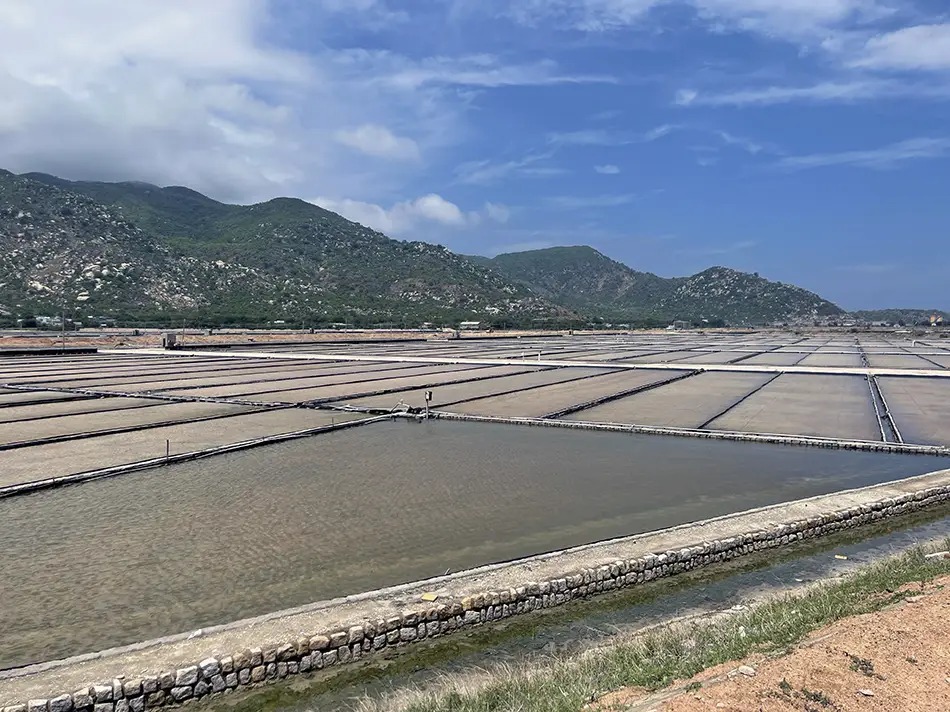 Land neatly divided into grids of salt evaporation ponds in Ca Na.