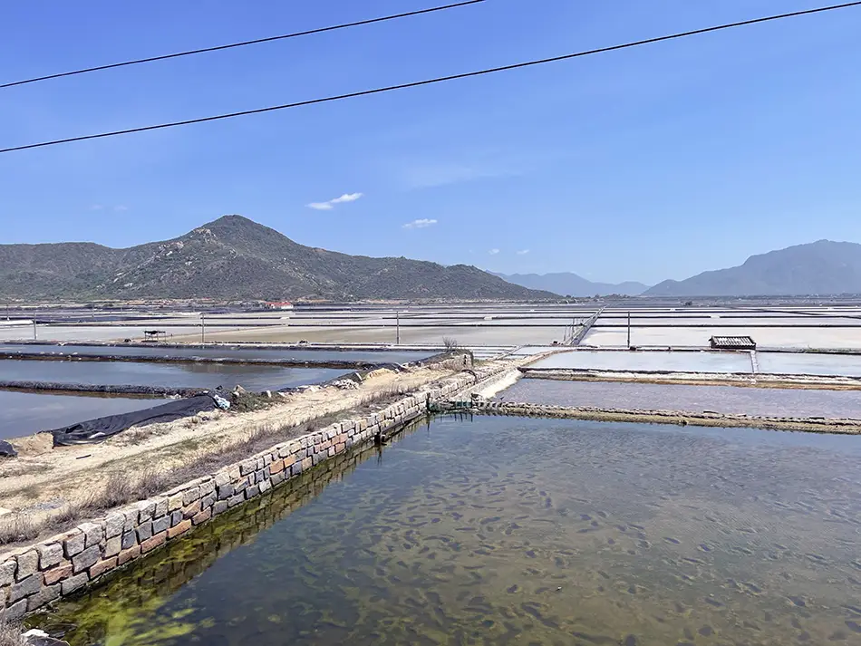 Rectangular grid of flat salt evaporation ponds with a mountain rising in the background.