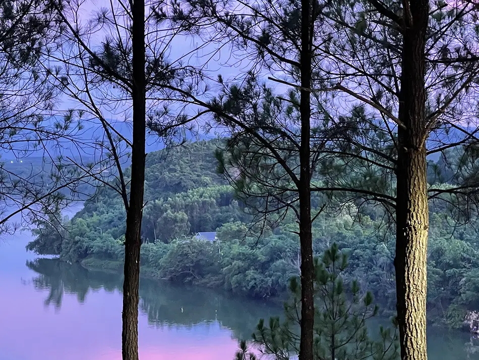 Pine trees and a view of the Perfume River painted in blue and purple sunset colors.